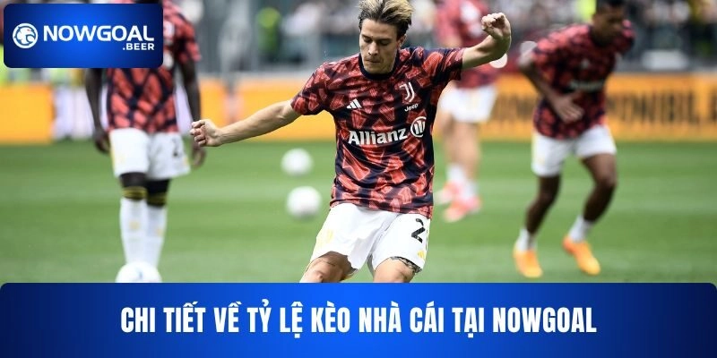 Chi tiết về tỷ lệ kèo nhà cái NOWGOAL